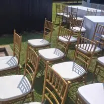 Gold Chiavari chairs arranged on lawn for event seating