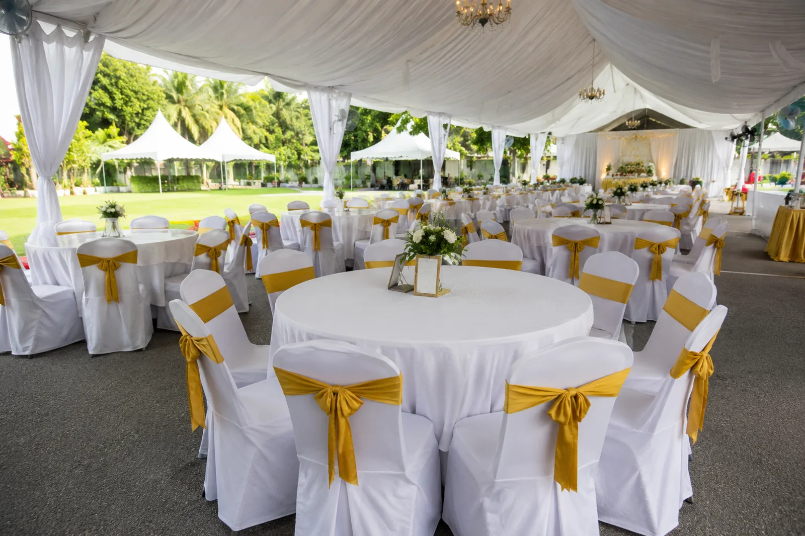 Garden canopy event with round tables and gold sash banquet chairs